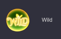 สัญลักษณ์ Wild ในเกมสล็อตนางฟ้าถั่ว 